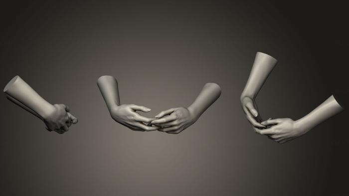نموذج ثلاثي الأبعاد لآلة CNC تشريح الهياكل العظمية والجماجم أيدي الإناث 8